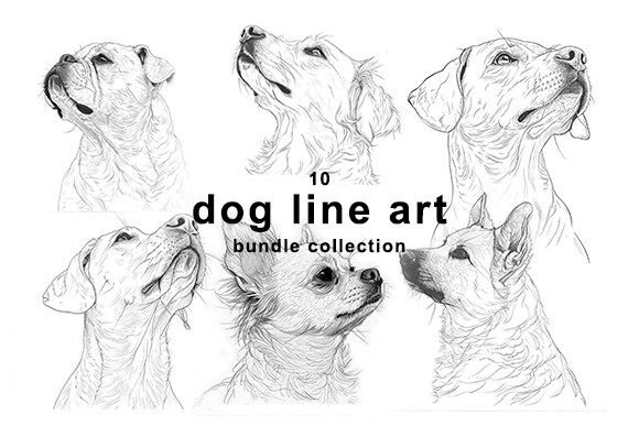 Download Dog Line Art Bundle Collection - Dog line art Collection