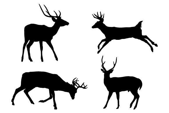 Download Deer Vector Graphic Design - Deer vector graphic Collection